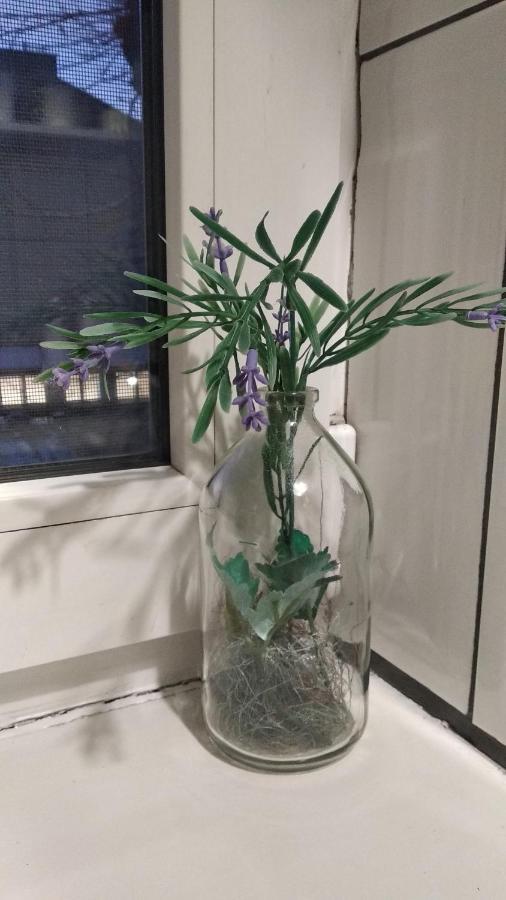 Apartment Anna Lwów Zewnętrze zdjęcie